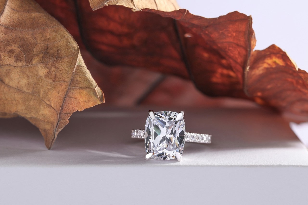 a side stone engagement ring sitting under the cover of brown leaves