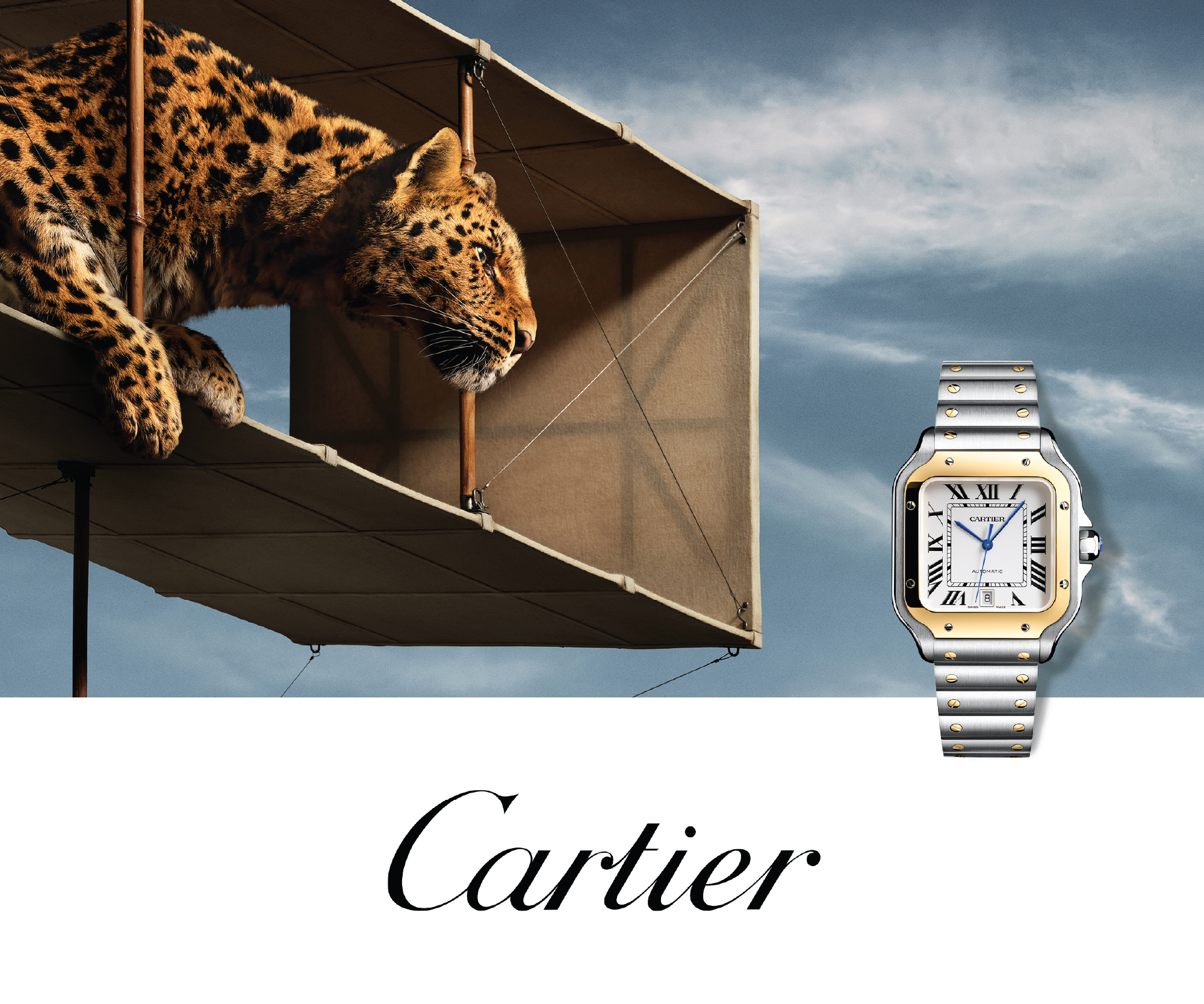 Cartier Banner Cartier Banner