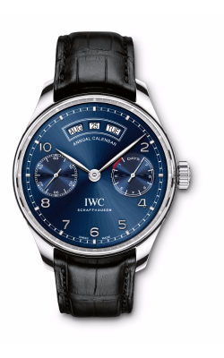 IWC Schaffhausen Watch IW503502