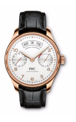 IWC Schaffhausen Watch IW503504