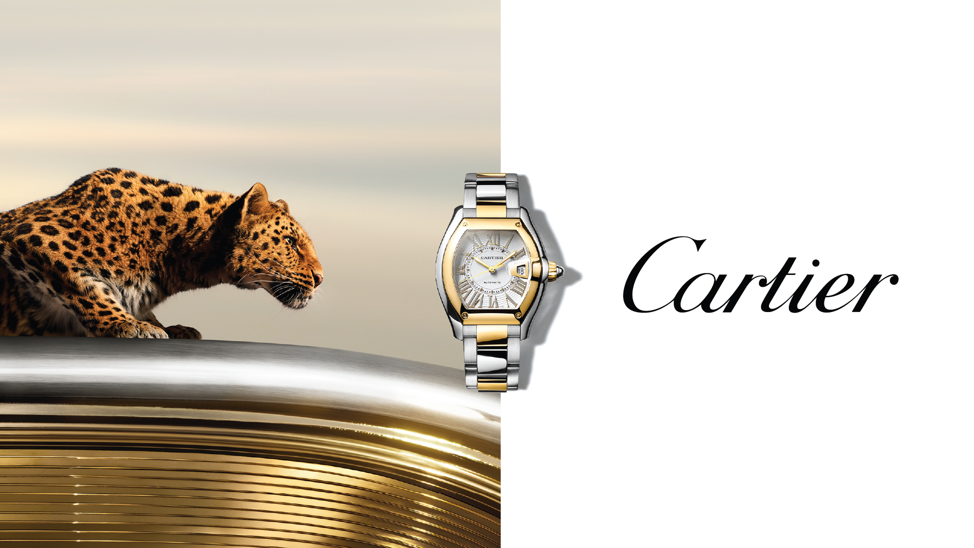 Cartier Cartier